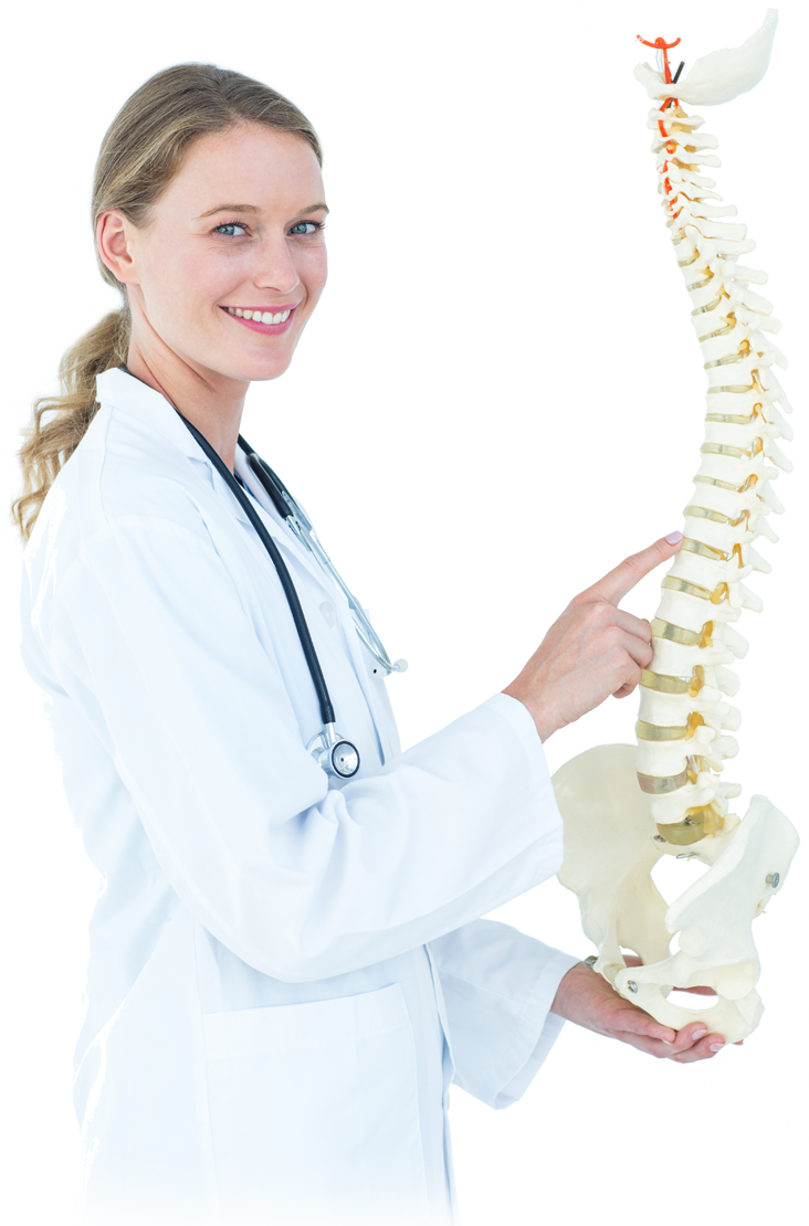 Spine anatomy with doctor